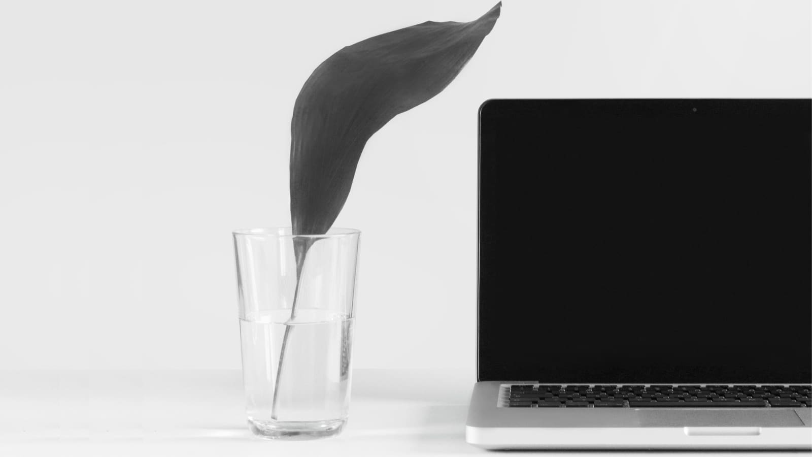 <h1>strony <red>WWW</red></h1> wowslider